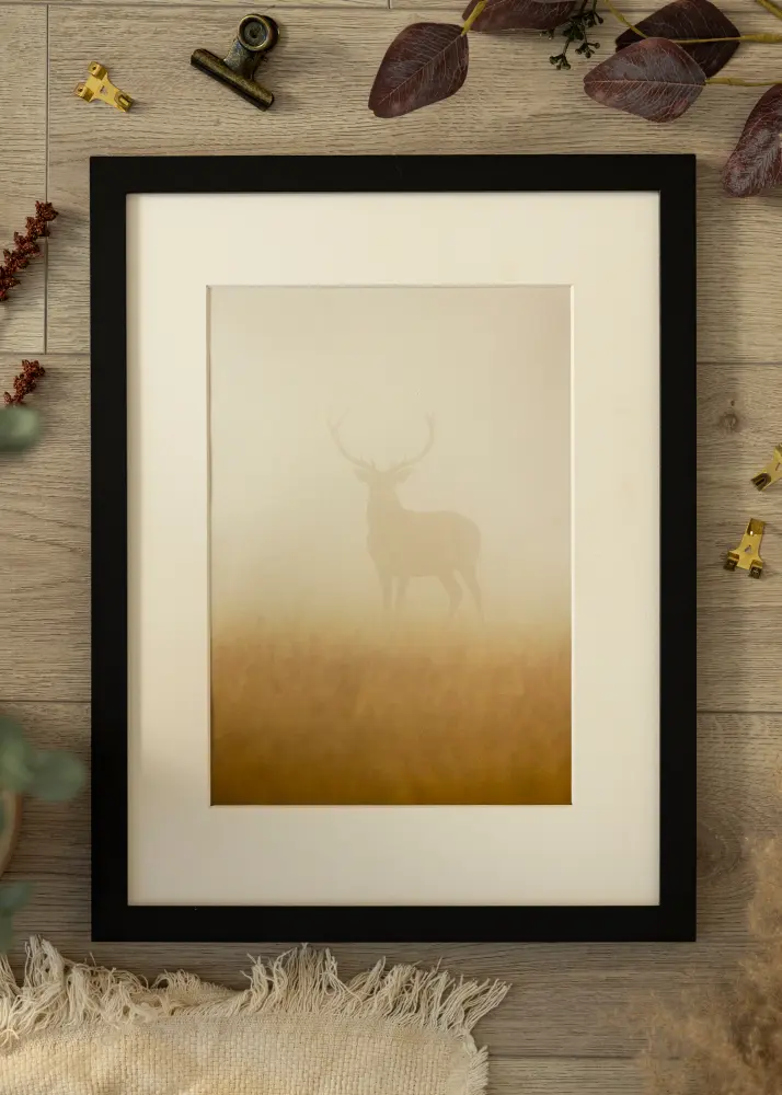 Ram med passepartou Fotokader BGA Classic Zwart 70x70 cm - Passe-partout Wit 24x24 inches