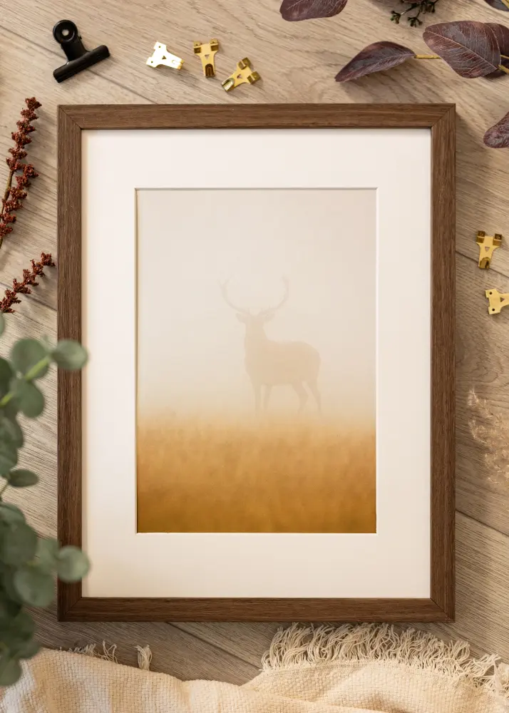 Ram med passepartou Fotokader Hermes Okkernoot 60x70 cm - Passe-partout Wit 50x56 cm