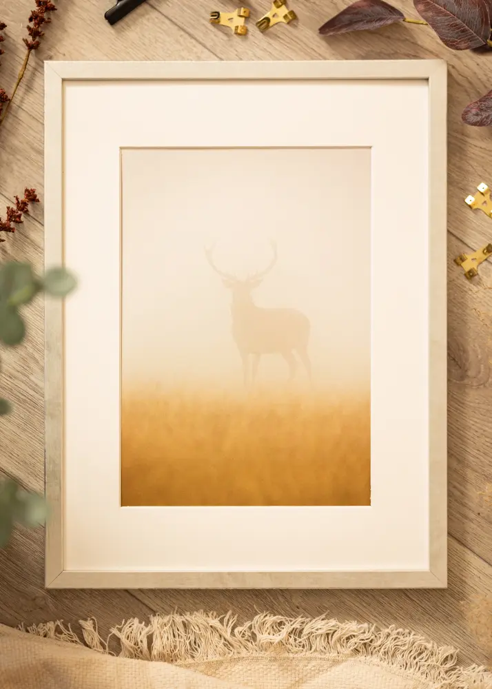 Ram med passepartou Fotokader Ares Zilver 30x30 cm - Passe-partout Wit 20x20 cm