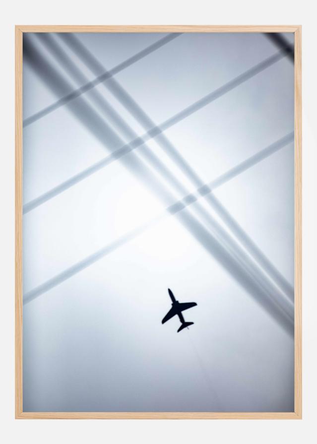 Bildverkstad Plane In The Sky Poster