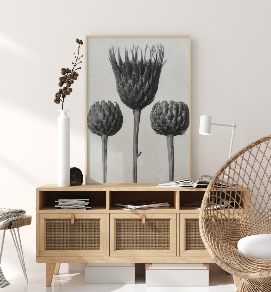 Bildverkstad Grey Flower IV Poster