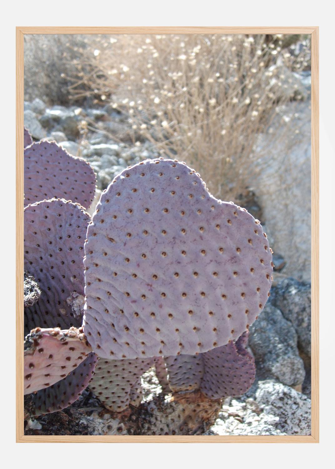 Product Image for Cactus Poster (21x29.7 cm (A4))
