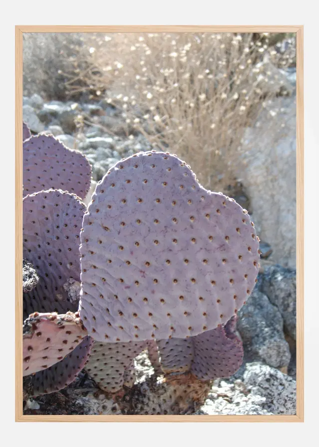 Bildverkstad Cactus Poster