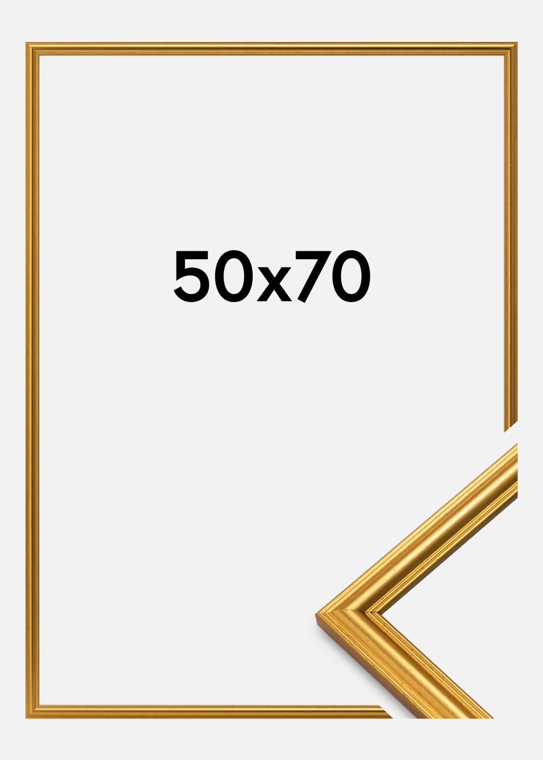 Product Image for Kader Carl Goud 50x70 cm