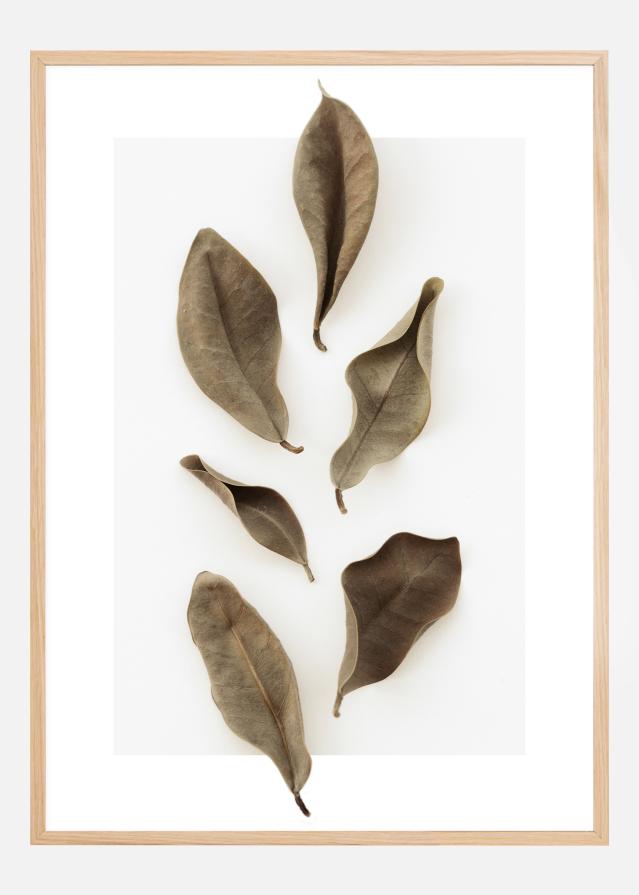 Bildverkstad Dried Leaves Poster