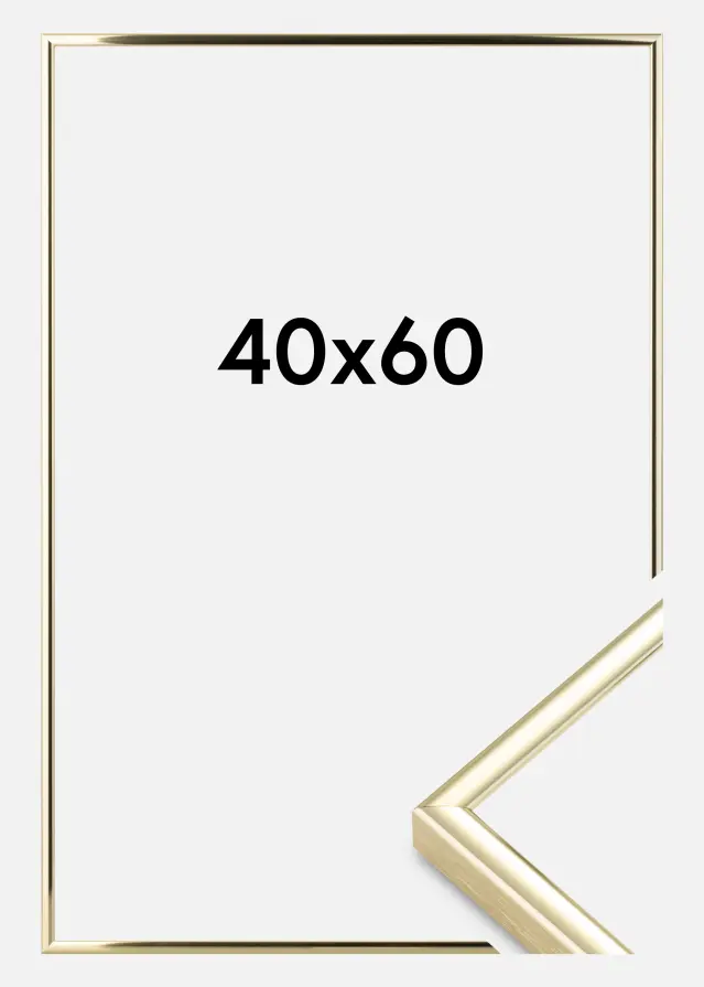 Nielsen Kader Nielsen Premium Classic Goud 40x60 cm