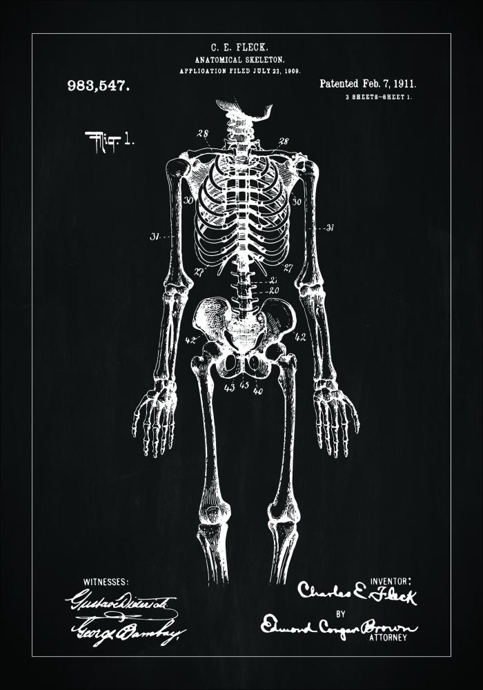 Bildverkstad Patenttekening - Anatomisch skelet I - Zwart Poster