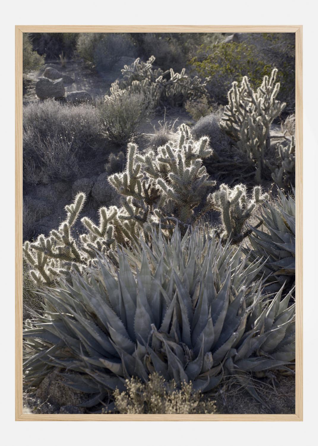 Product Image for Cactus In Desert Poster (21x29.7 cm (A4))