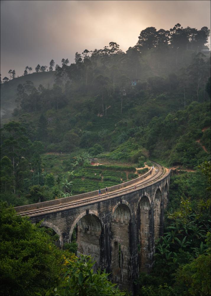 Bildverkstad Jungle train rails Poster