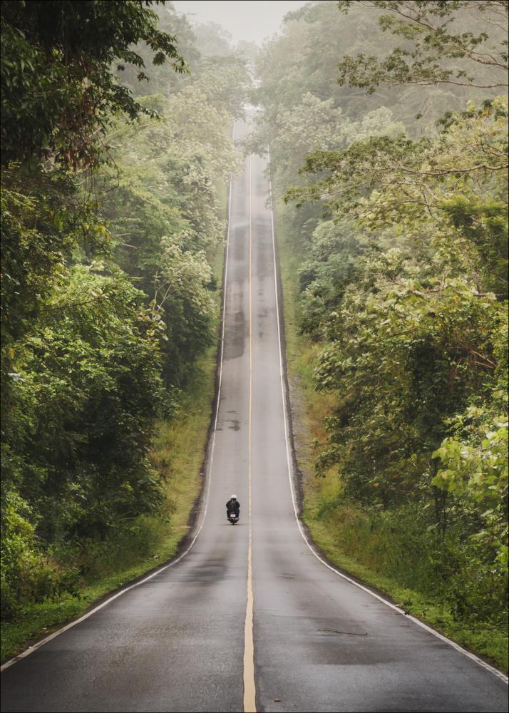 Bildverkstad Road Poster