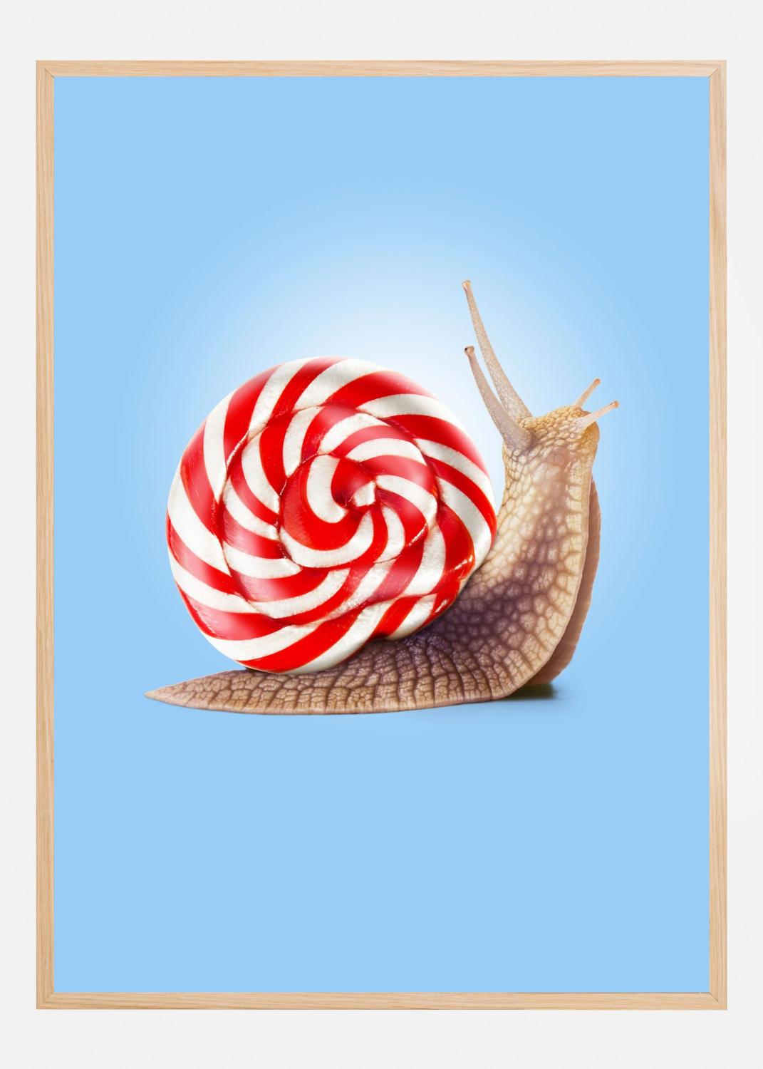 Product Image for Snail Candy Poster (70x100 cm)