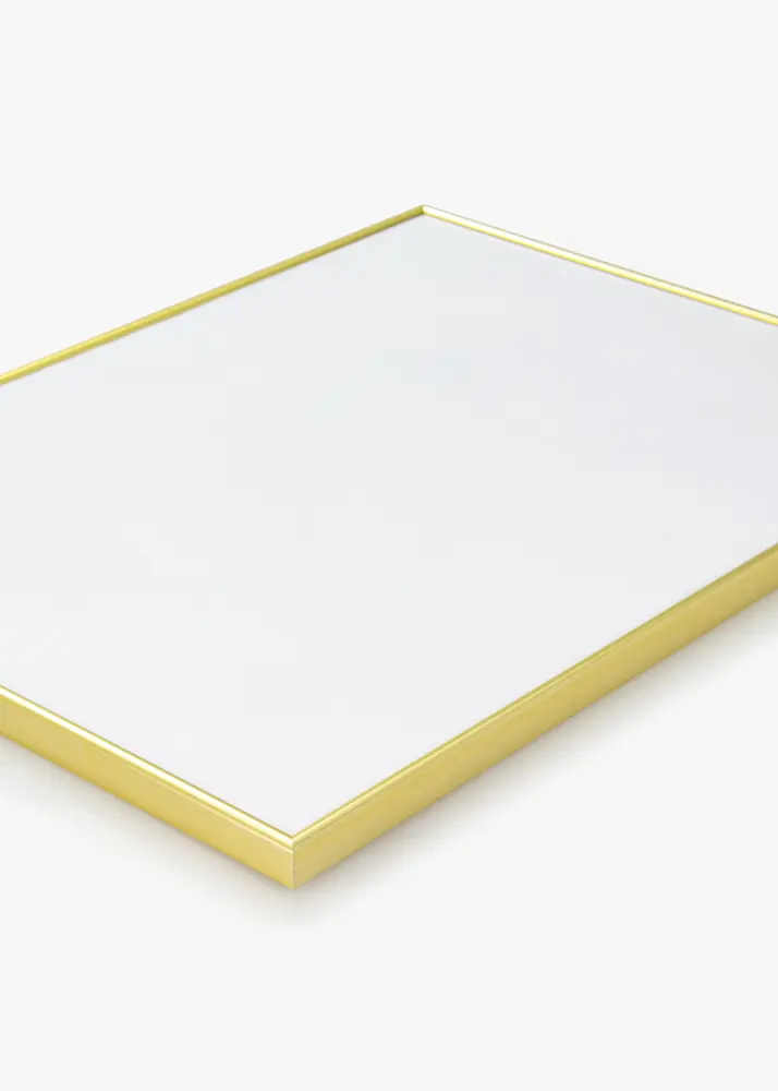 Focus Kader Can-Can Goud 10x15 cm