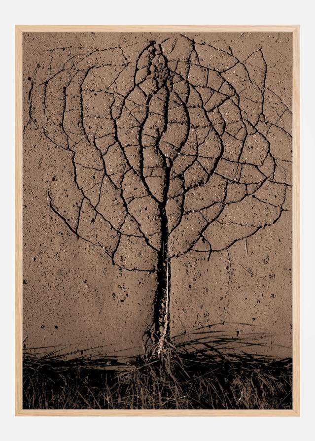 Bildverkstad Asphalt Tree Poster