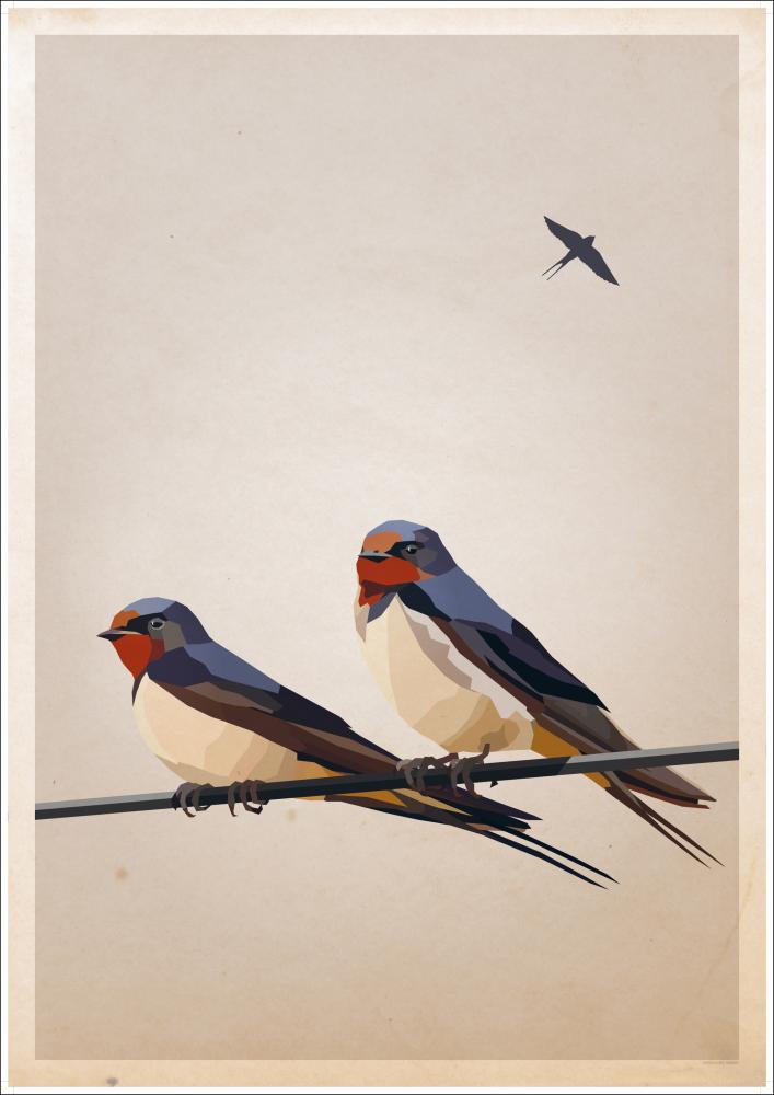 Bildverkstad Swallows Poster