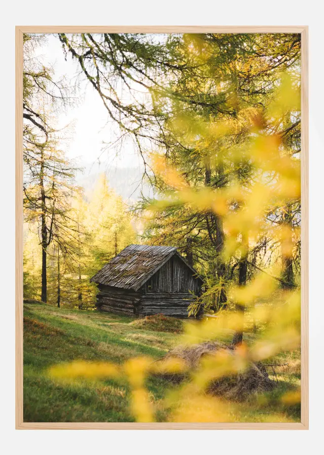 Bildverkstad Lonely Cabbin Poster