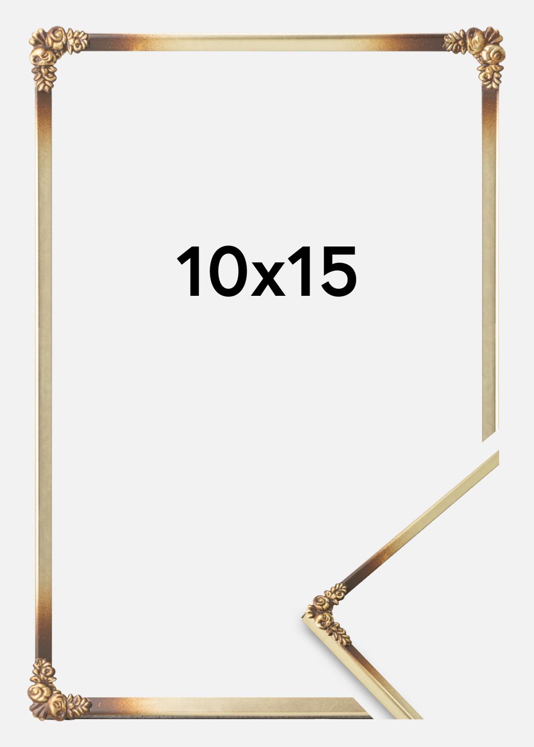 Product Image for Kader Rosen Metaal Goud 10x15 cm