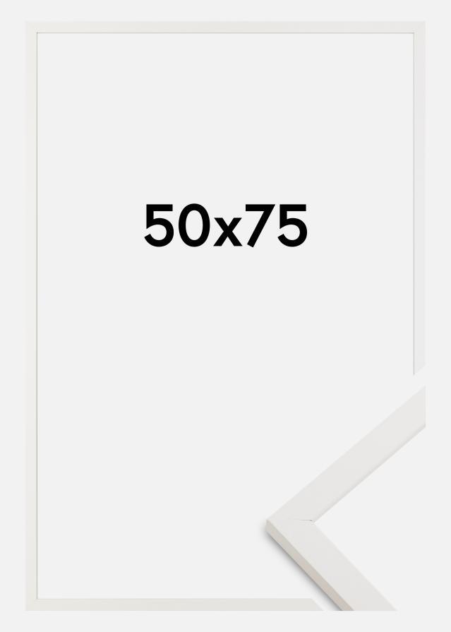 Artlink Kader Trendy Acrylglas Wit 50x75 cm