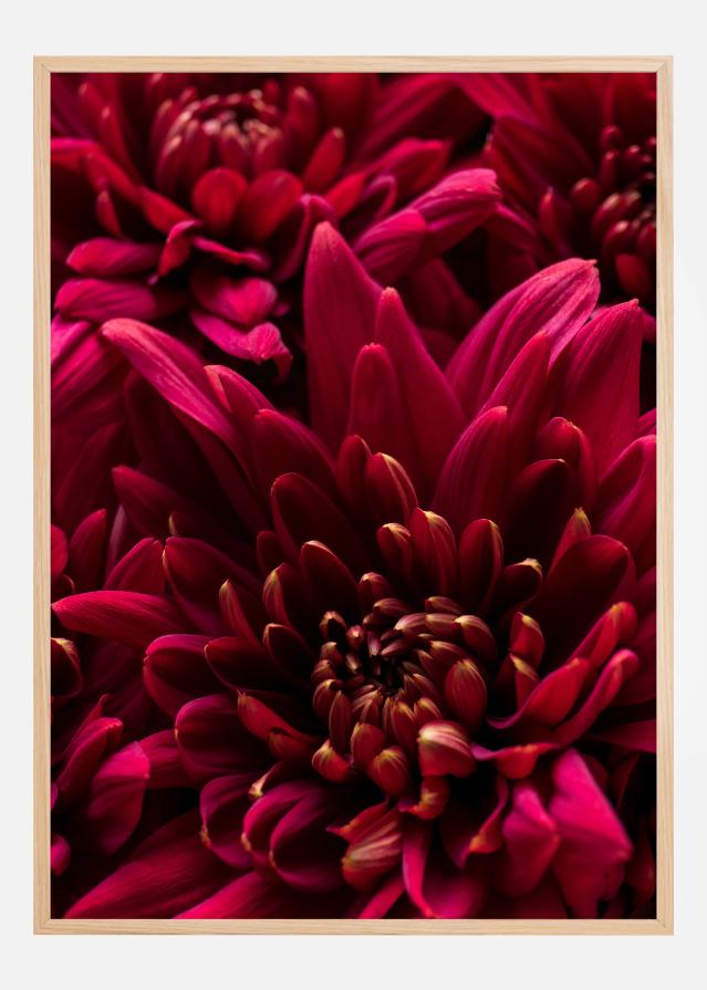 Bildverkstad Cerise Flower Poster