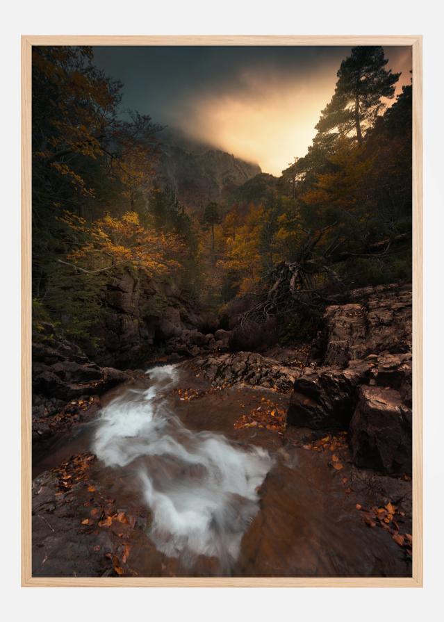 Bildverkstad Calm Forest Poster