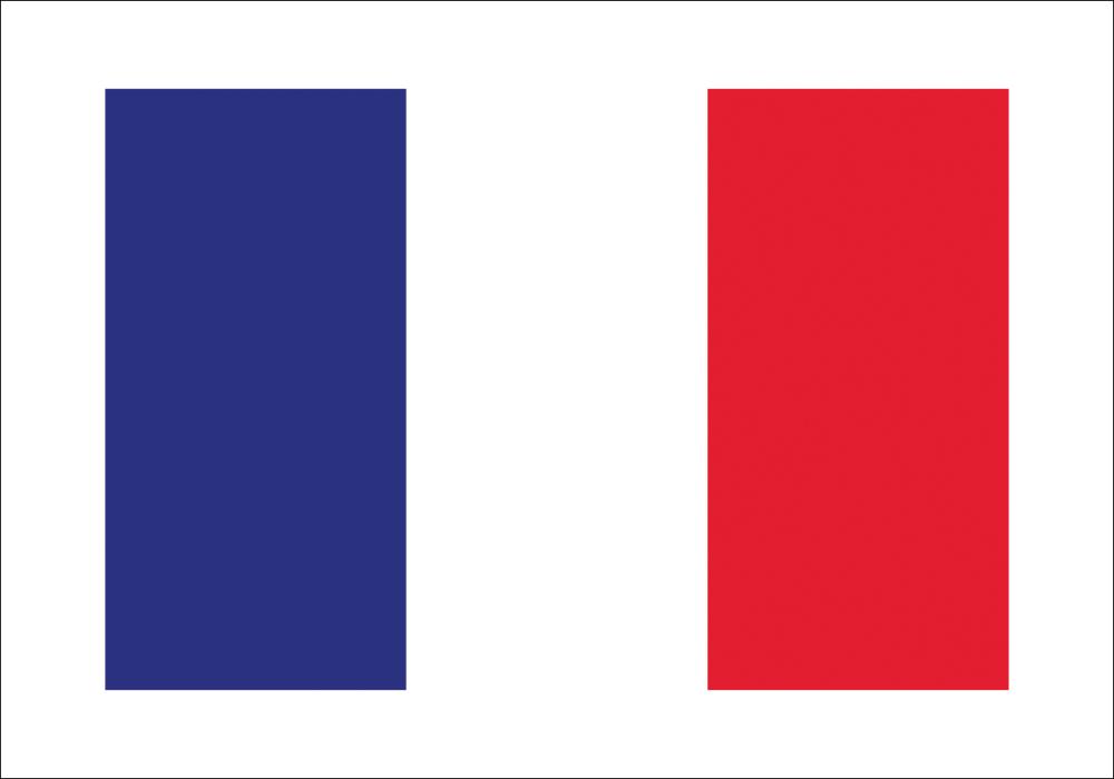 Bildverkstad Flagga - Frankrike Poster