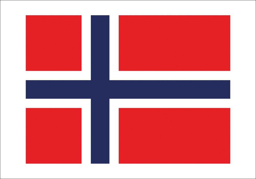 Bildverkstad Flagga - Norge Poster