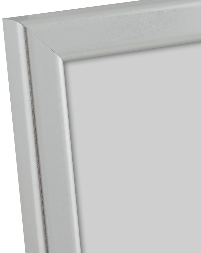 HHC Distribution Kader Slim Mat Ontspiegeld Glas Zilver 24x30 cm