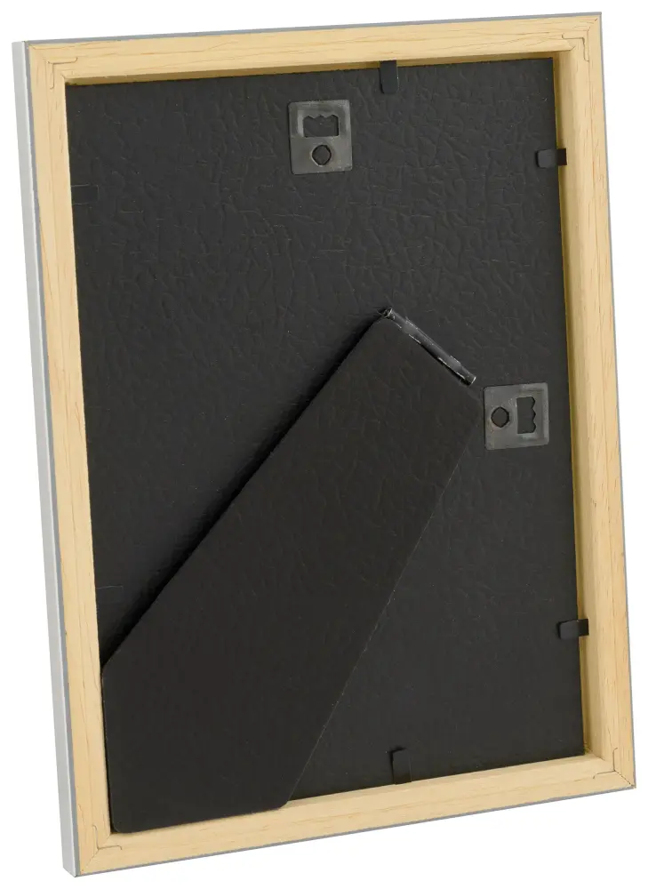 HHC Distribution Kader Slim Mat Ontspiegeld Glas Zilver 15x20 cm