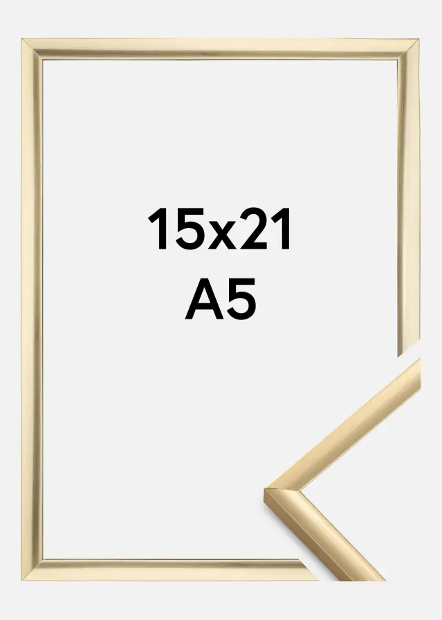 BGA Kader New Lifestyle Acrylglas Goud 15x21 cm (A5)
