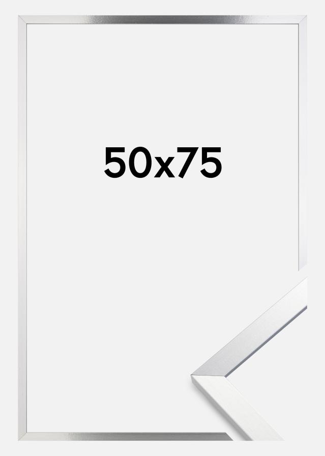 Artlink Kader Trendy Acrylglas Zilver 50x75 cm