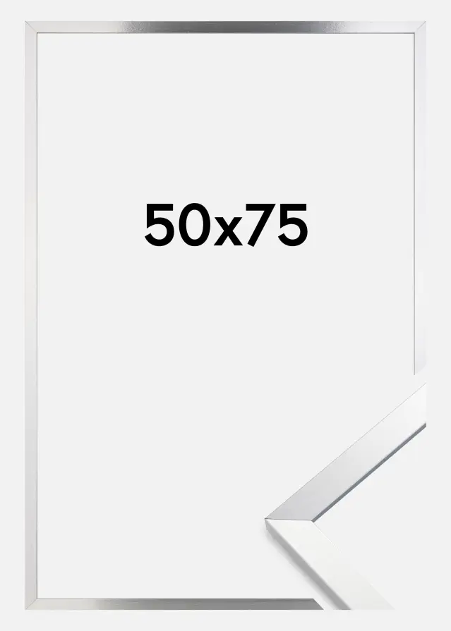 Artlink Kader Trendy Acrylglas Zilver 50x75 cm