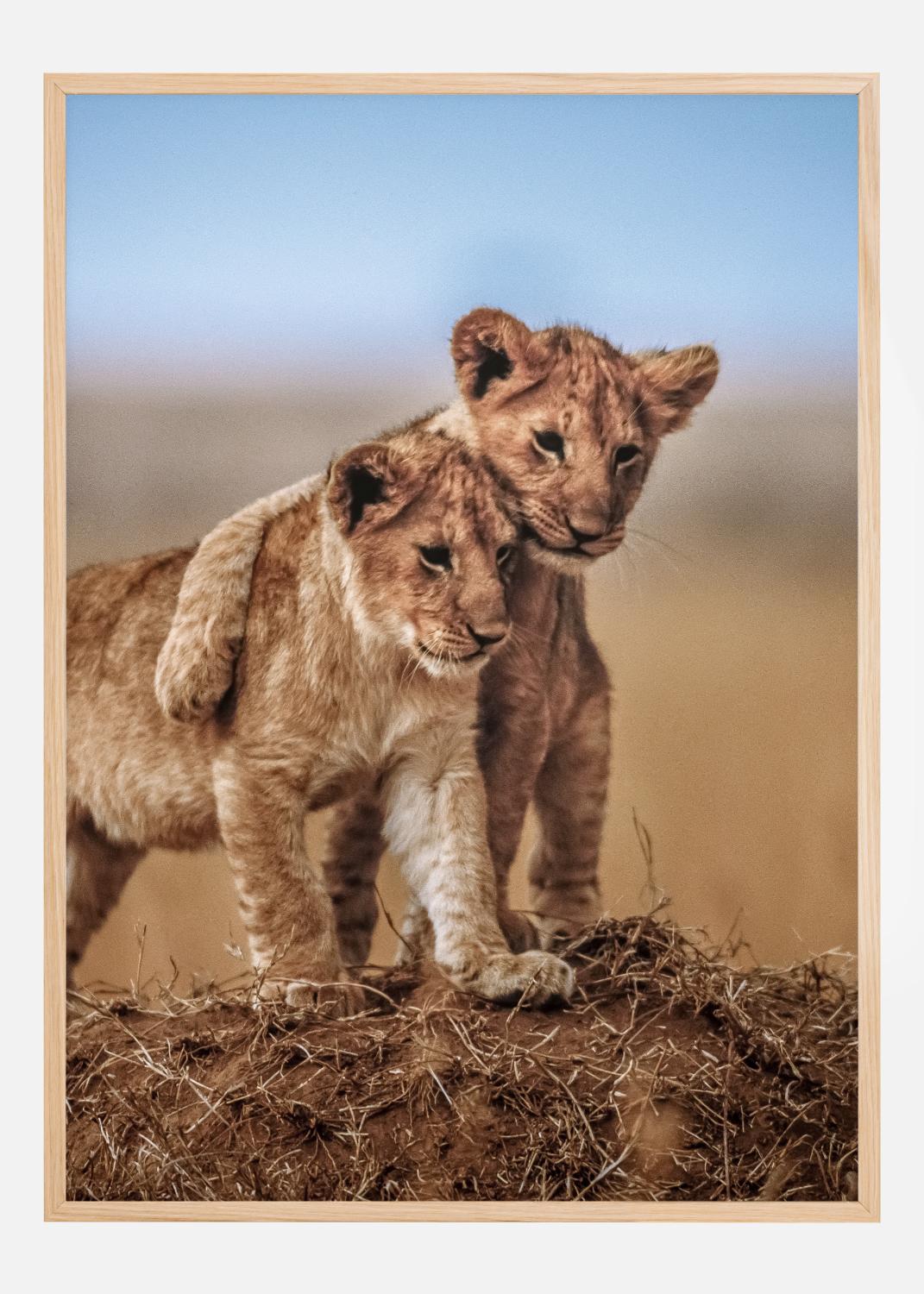 Product Image for Lion Brothers For Life Poster (50x70 cm)