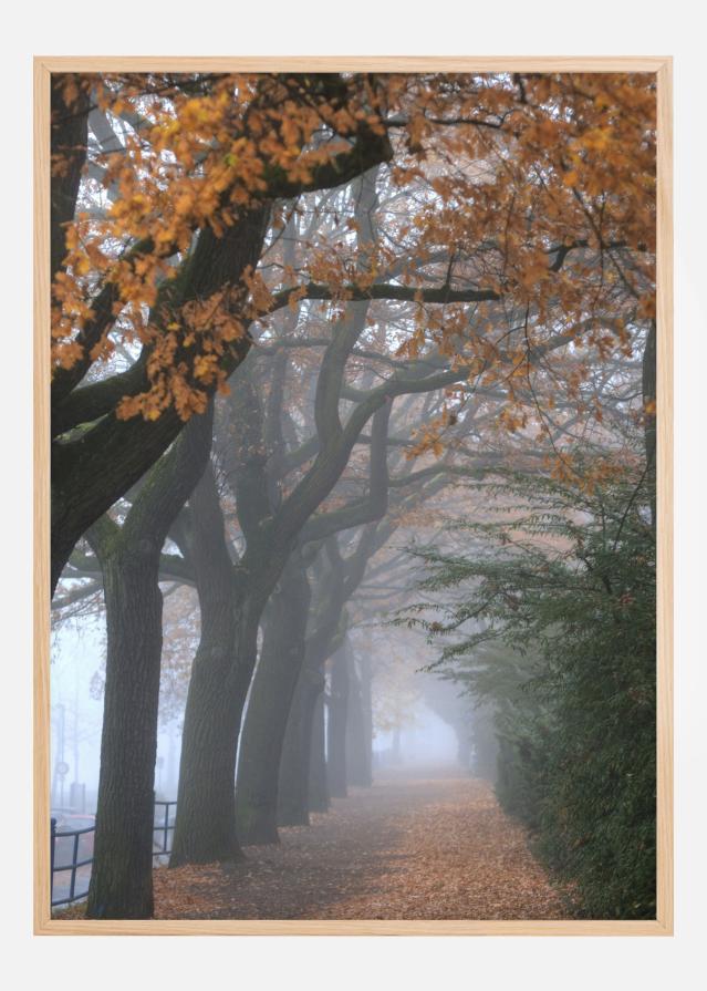 Bildverkstad Autum Stroll Poster