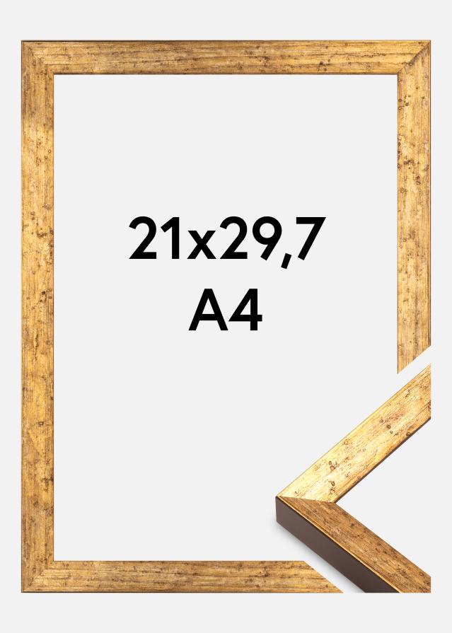 Jämtlands Ramfabrik Kader Dune Acrylglas Goud 21x29,7 cm (A4)