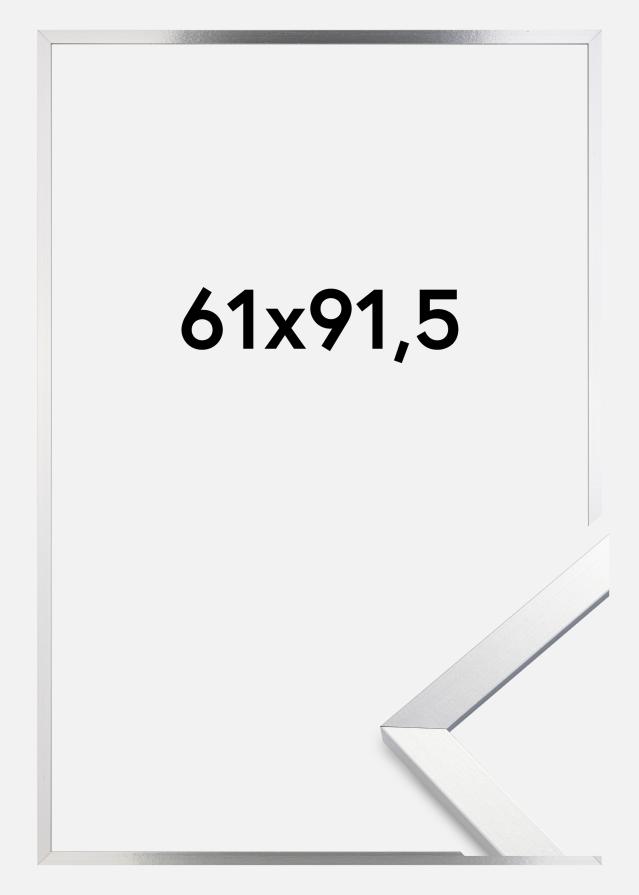 Artlink Kader Trendy Acrylglas Zilver 61x91,5 cm