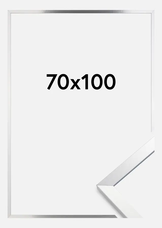 Artlink Kader Trendy Acrylglas Zilver 70x100 cm
