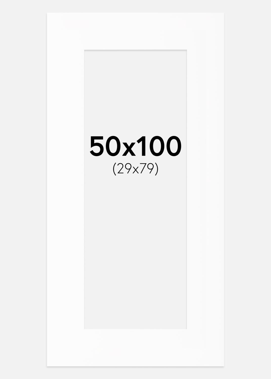 Product Image for Passe-partout Canson Wit (Witte kern) 50x100 cm (29x79)