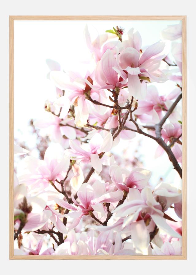 Bildverkstad Cherry Trees Poster