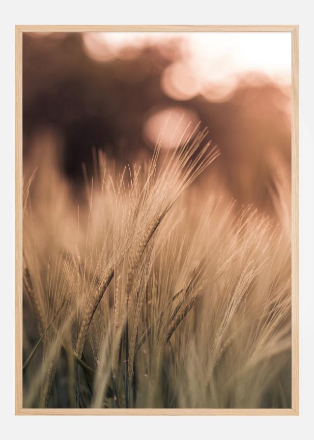 Bildverkstad Wheat Fields I Poster