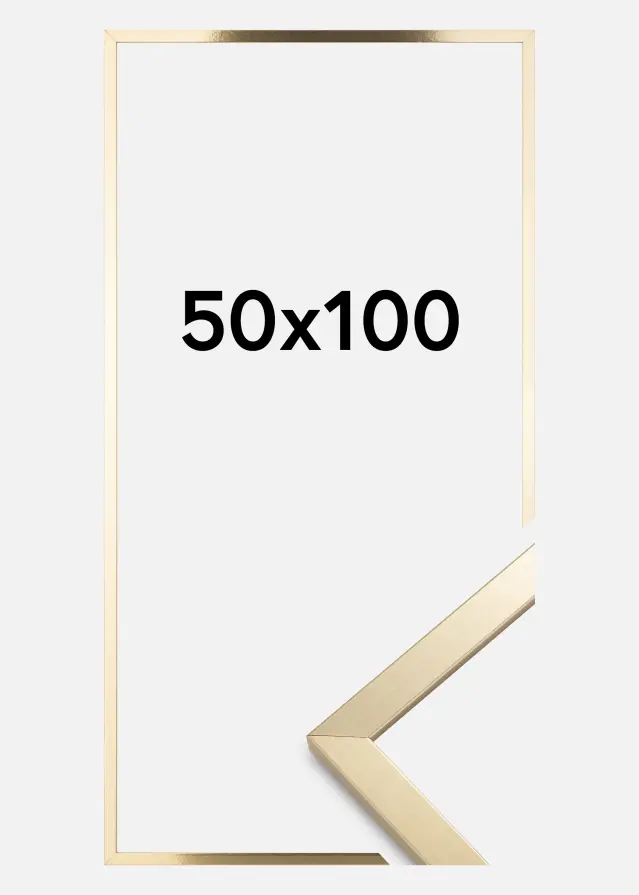Artlink Kader Trendy Acrylglas Goud 50x100 cm
