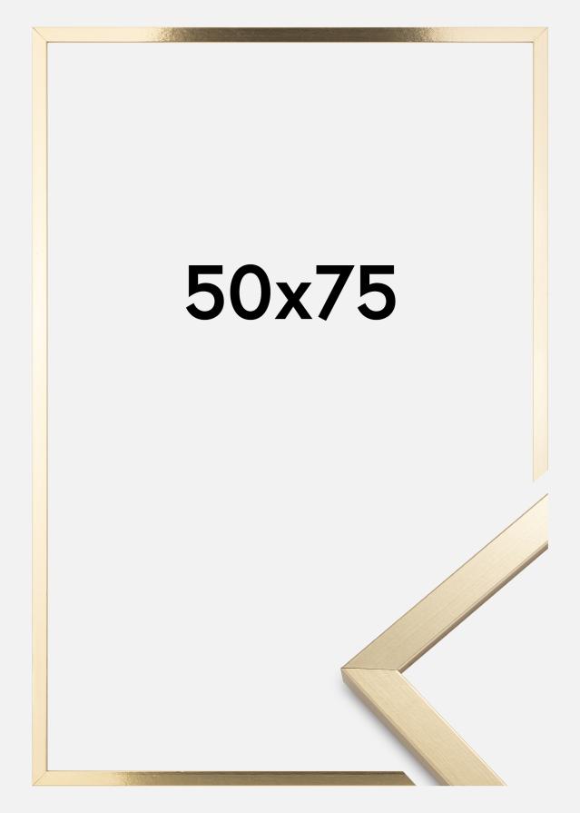 Artlink Kader Trendy Acrylglas Goud 50x75 cm