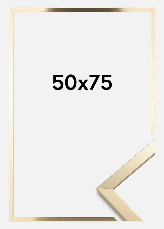 Artlink Kader Trendy Acrylglas Goud 50x75 cm