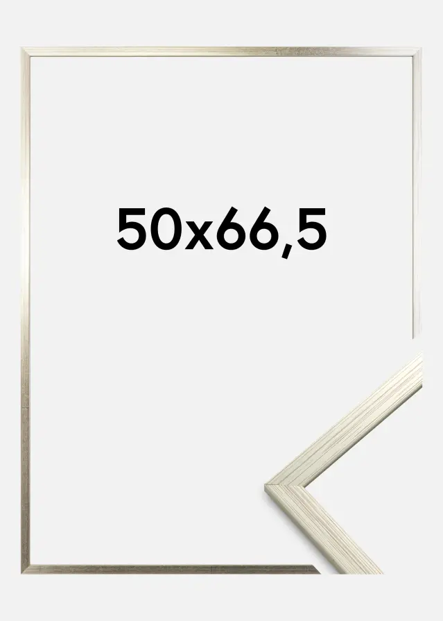 Galleri 1 Kader Edsbyn Acrylglas Zilver 50x66,5 cm
