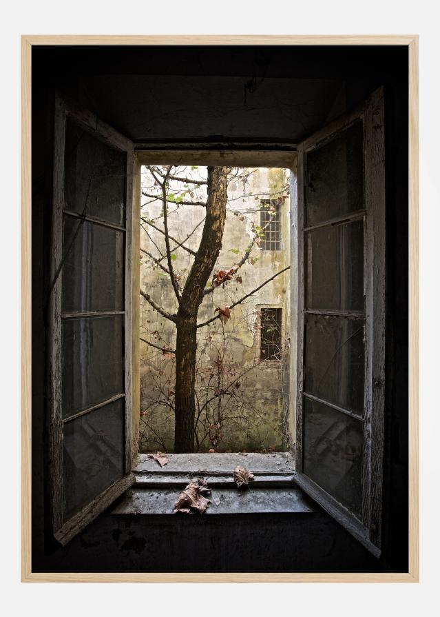 Bildverkstad Autumn In Asylum Poster