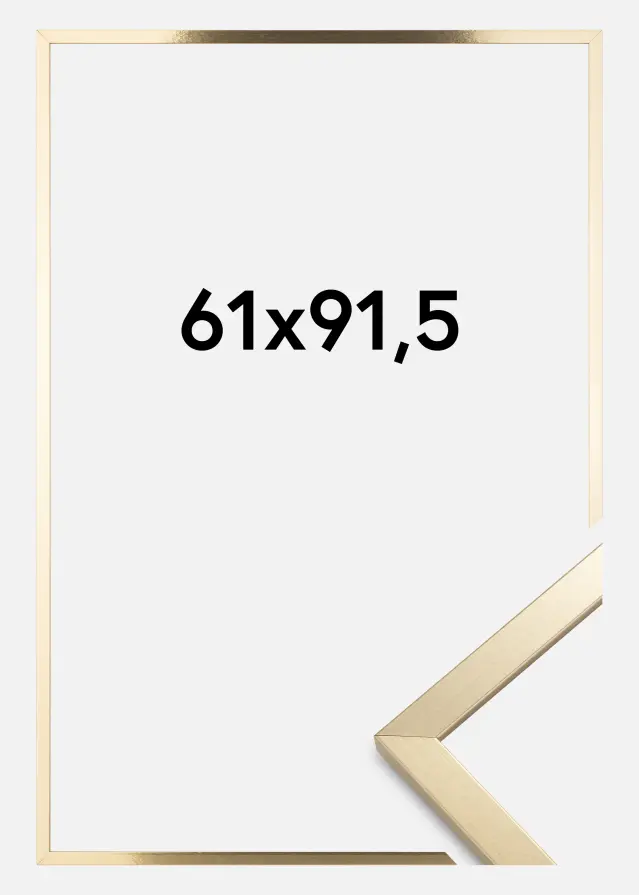 Artlink Kader Trendy Acrylglas Goud 61x91,5 cm