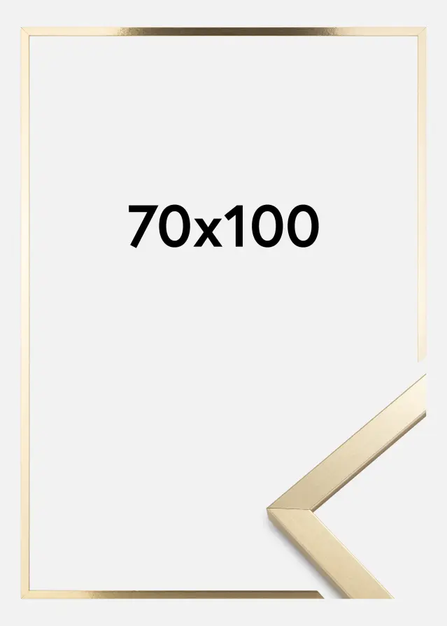 Artlink Kader Trendy Acrylglas Goud 70x100 cm