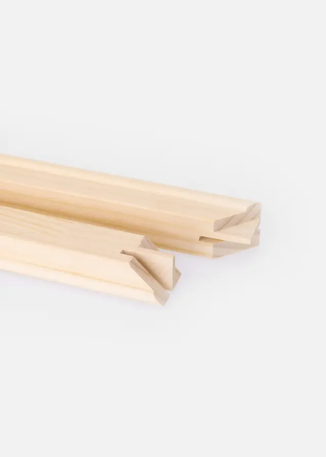 Focus Focus Spieramen 2-pack - 50 cm