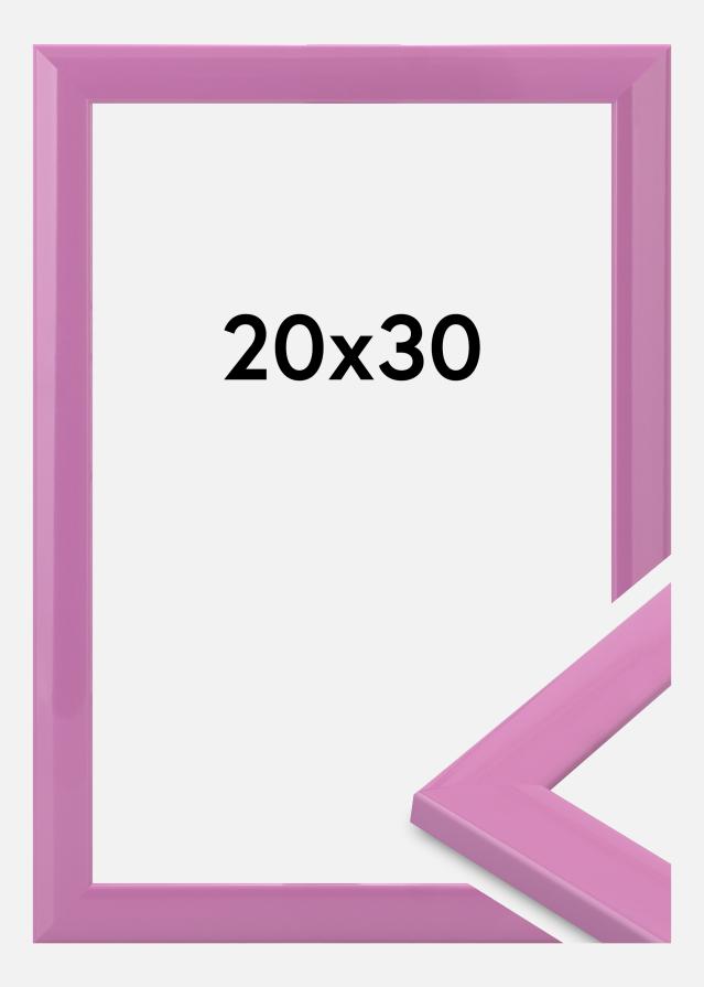 Jämtlands Ramfabrik Kader Dorset Acrylglas Roze 20x30 cm