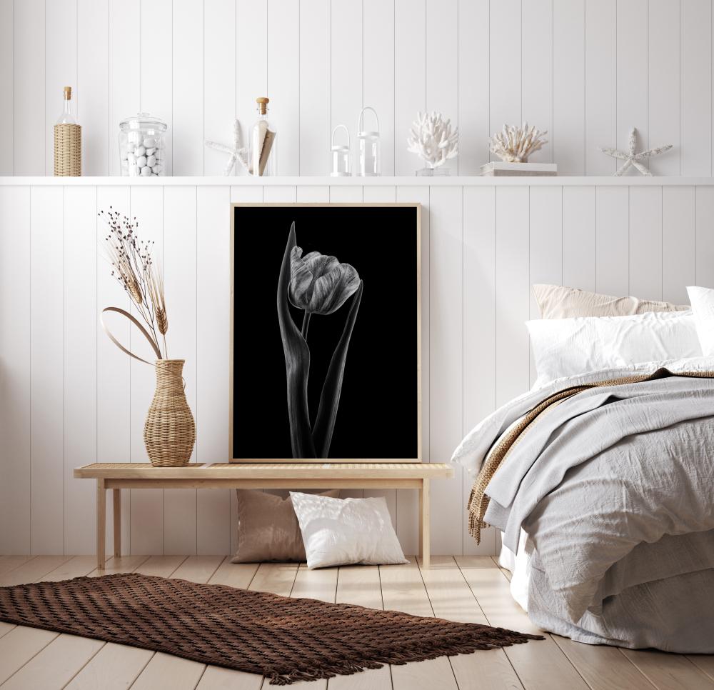 Bildverkstad Rembrandt Tulip Poster