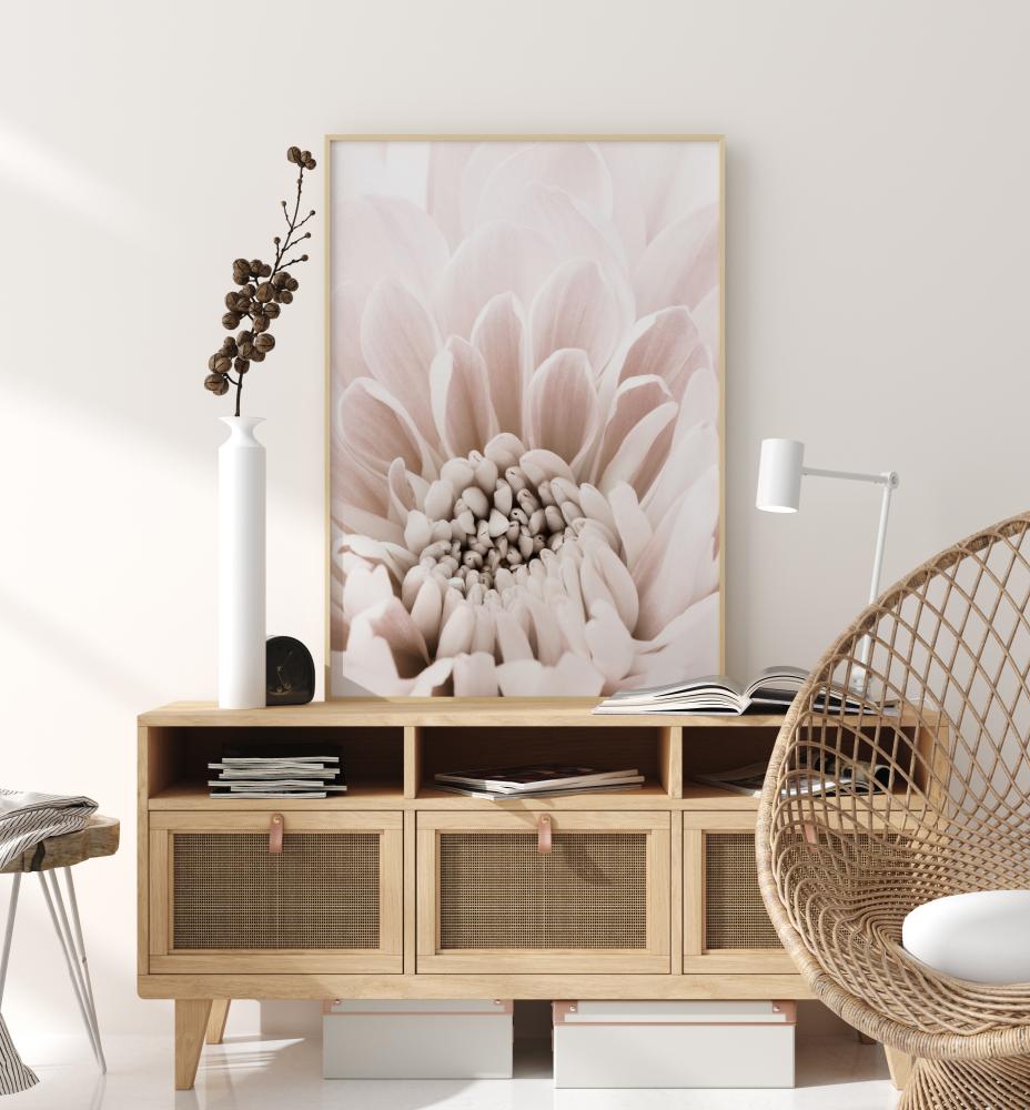 Bildverkstad Chrysanthemum I Poster