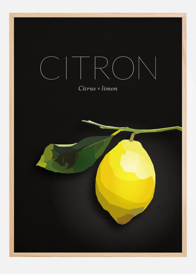 Bildverkstad Citroen Poster